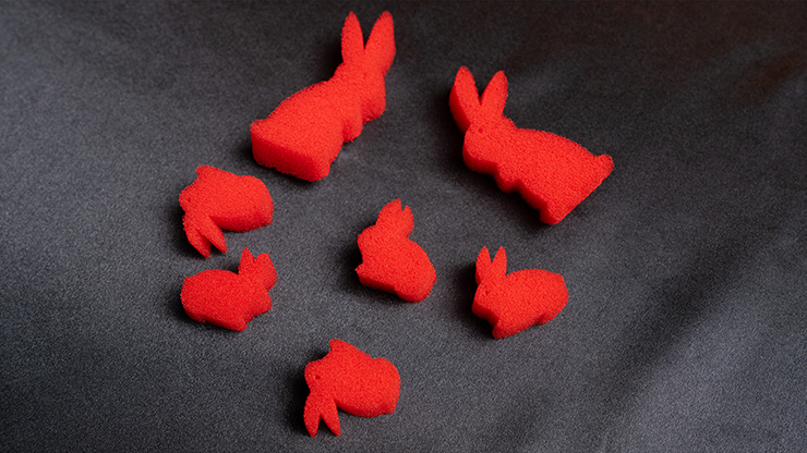 Multiplying Rabbits by Apprentice Magic