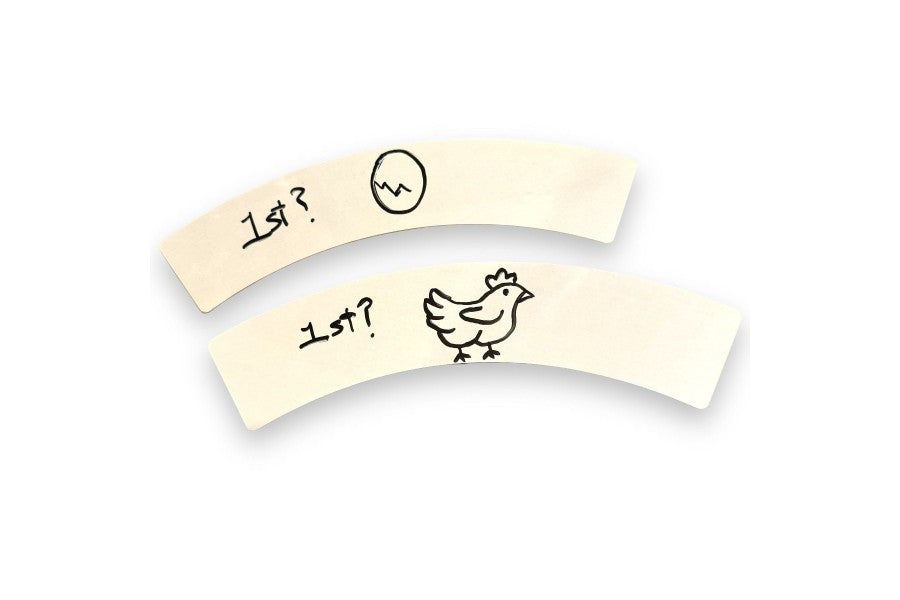 Boomerang Illusion Deluxe Dry Erase