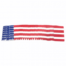 American Flag Patriotic Fanning Deck of Cards