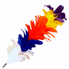 Cane Feather Plume