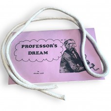 Professor's Dream by Charles Leach
