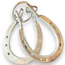 Horseshoe and Ring Game Silver