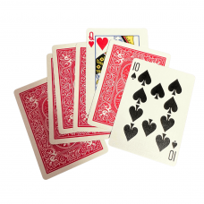 True or False Card Trick